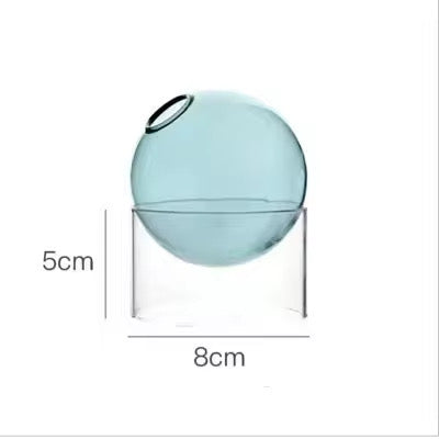 Rounded Transparent Glass Vases